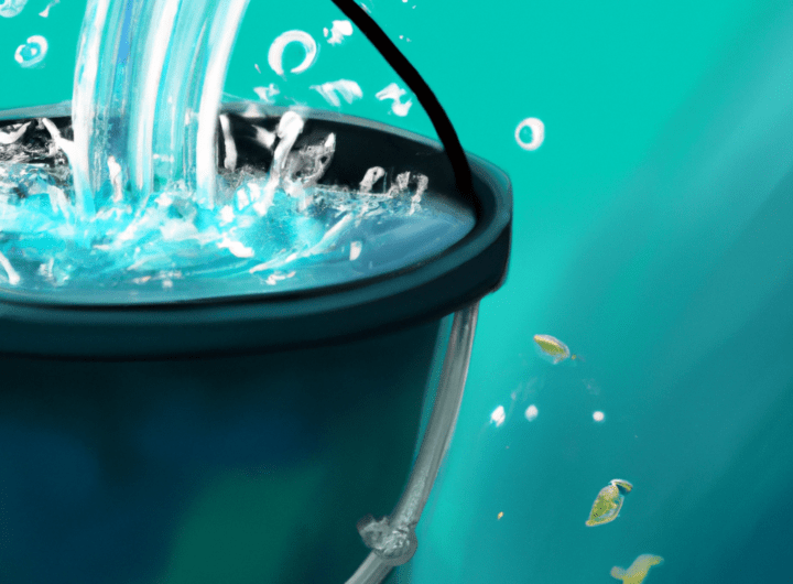 Wymiana wody w akwarium